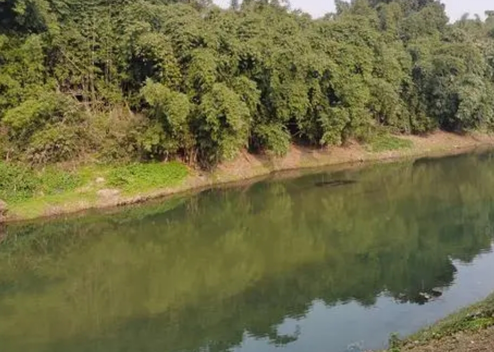 油坊溝重點山洪溝防洪治理項目監(jiān)理服務(wù)